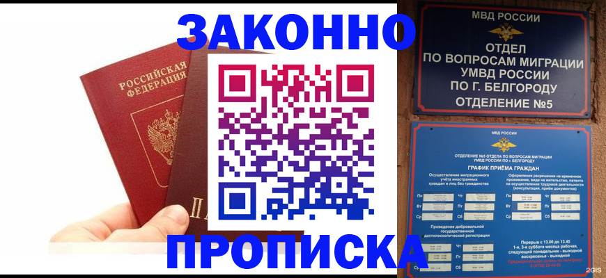 временная регистрация для школы в Электрогорске